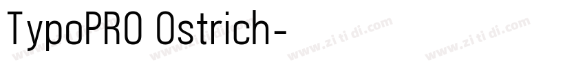 TypoPRO Ostrich字体转换